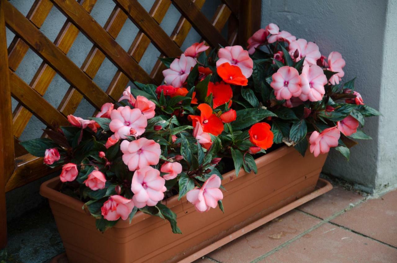 La Coccinella Bed & Breakfast Iesi Dış mekan fotoğraf